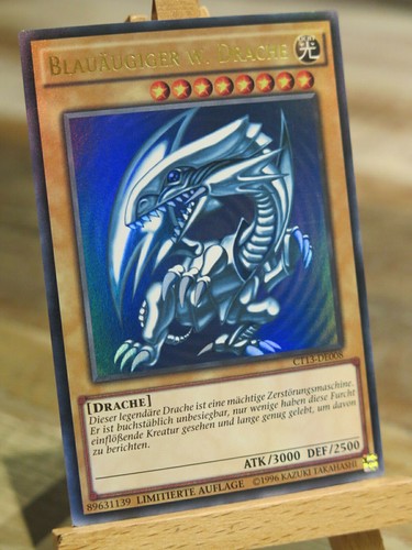 Blauäugiger weißer - blauäugiger,